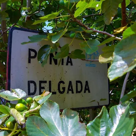 Casa Da Vista Infinita * Ponta Delgada (Madeira)