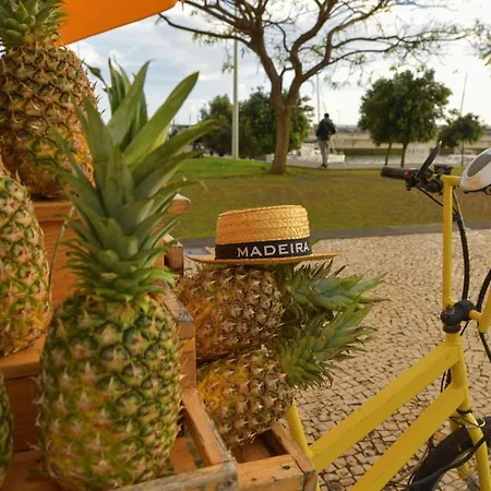 Casa Da Vista Infinita