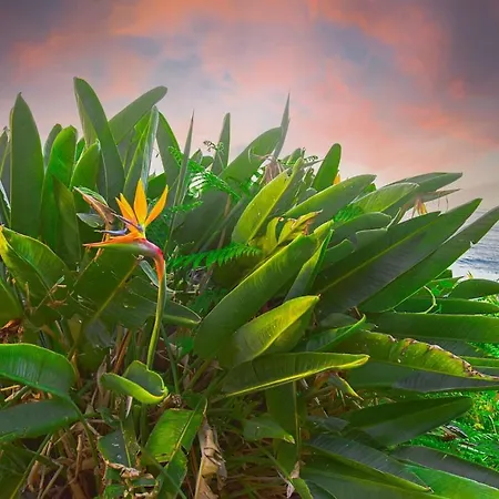 Apartment Casa Da Vista Infinita