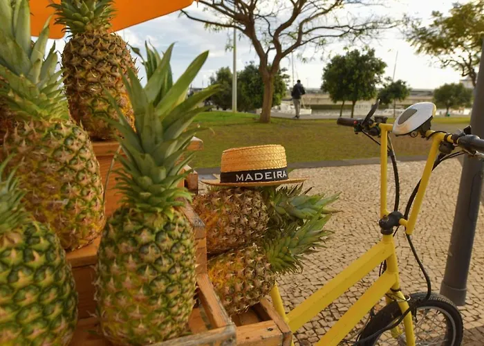 Casa Da Vista Infinita