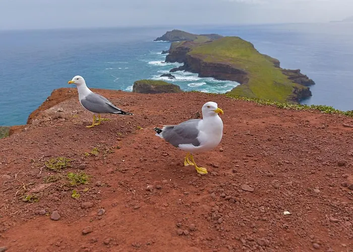 Casa Da Vista Infinita Διαμέρισμα