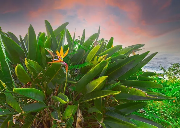 Διαμέρισμα Casa Da Vista Infinita